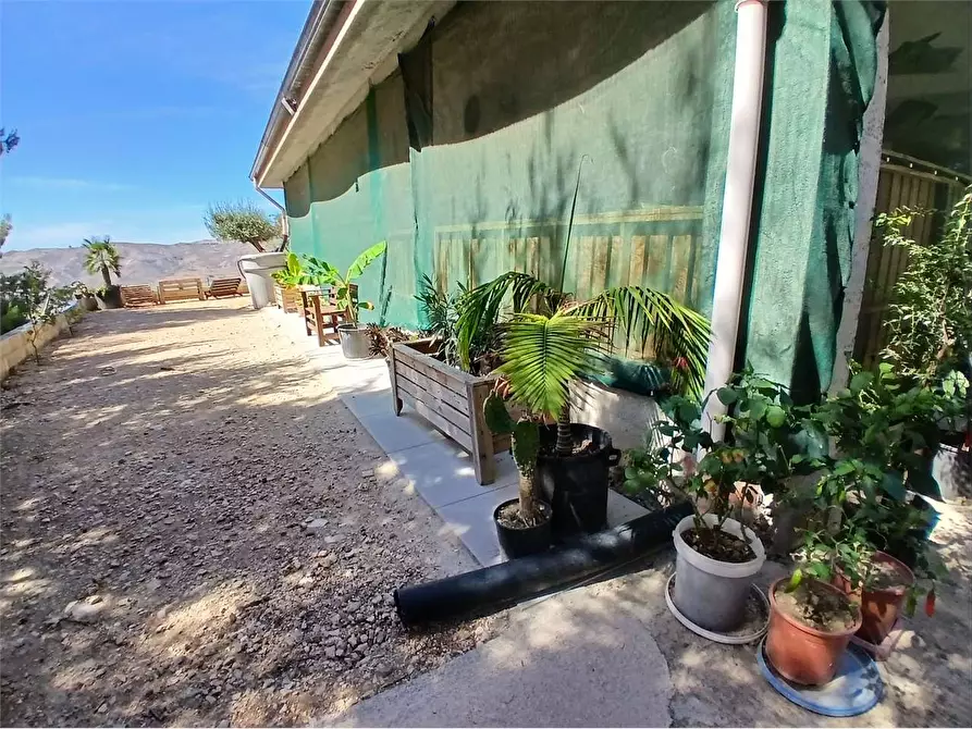 Immagine 32 di Villa in vendita  a Alessandria Della Rocca