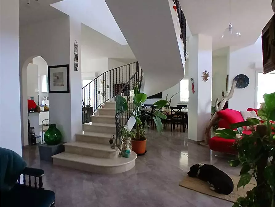 Immagine 40 di Villa in vendita  a Alessandria Della Rocca