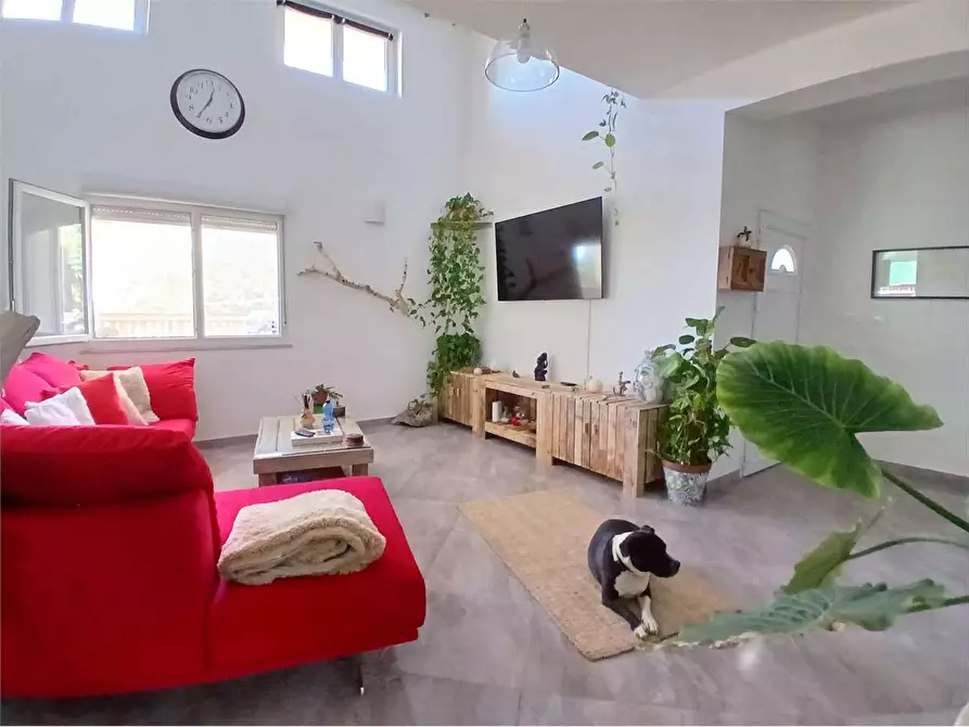 Immagine 41 di Villa in vendita  a Alessandria Della Rocca