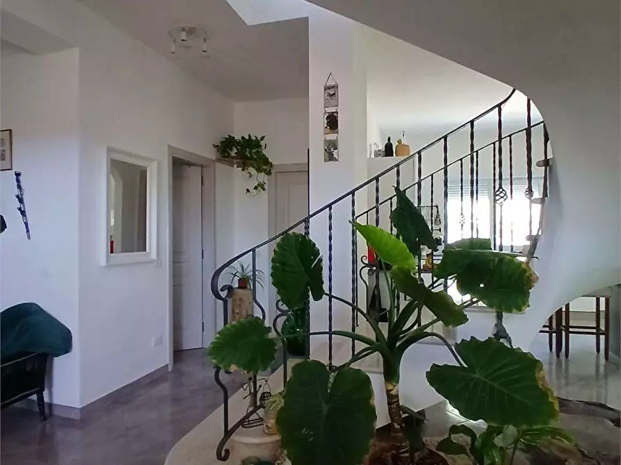 Immagine 44 di Villa in vendita  a Alessandria Della Rocca