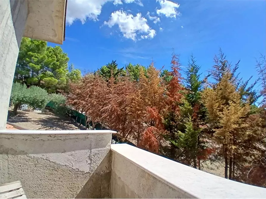 Immagine 68 di Villa in vendita  a Alessandria Della Rocca