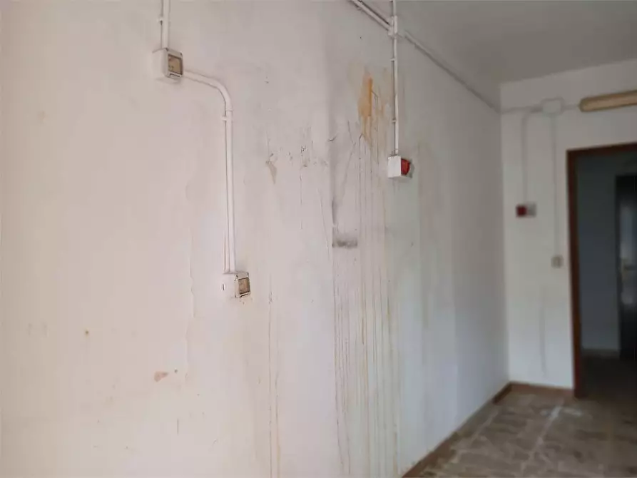 Immagine 6 di Casa indipendente in vendita  in via  Croce 32 a Calamonaci