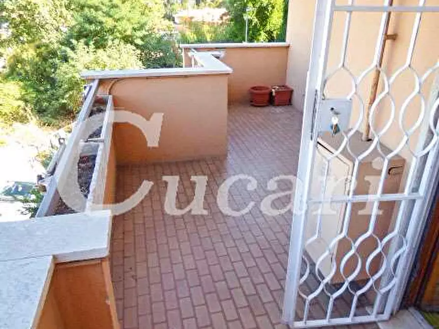 Immagine 41 di Trilocale in affitto  in via maffeo.pantaleoni a Frascati