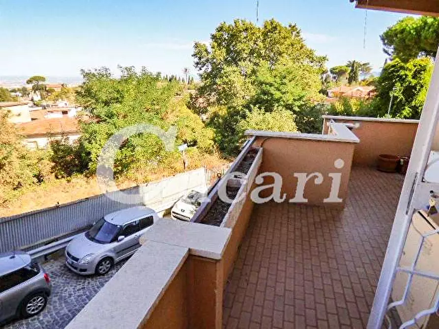 Immagine 42 di Trilocale in affitto  in via maffeo.pantaleoni a Frascati