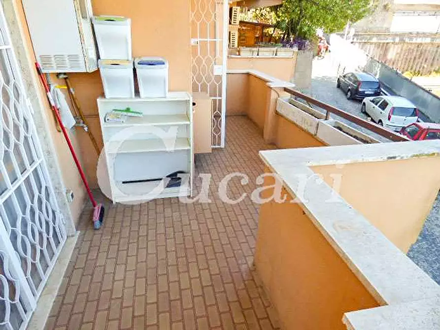 Immagine 43 di Trilocale in affitto  in via maffeo.pantaleoni a Frascati