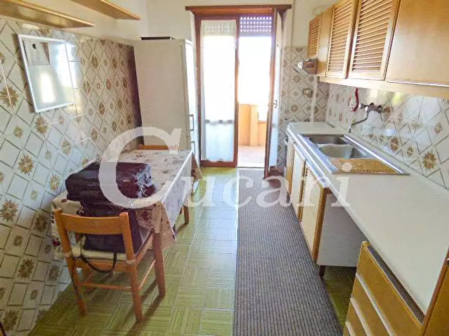 Immagine 44 di Trilocale in affitto  in via maffeo.pantaleoni a Frascati