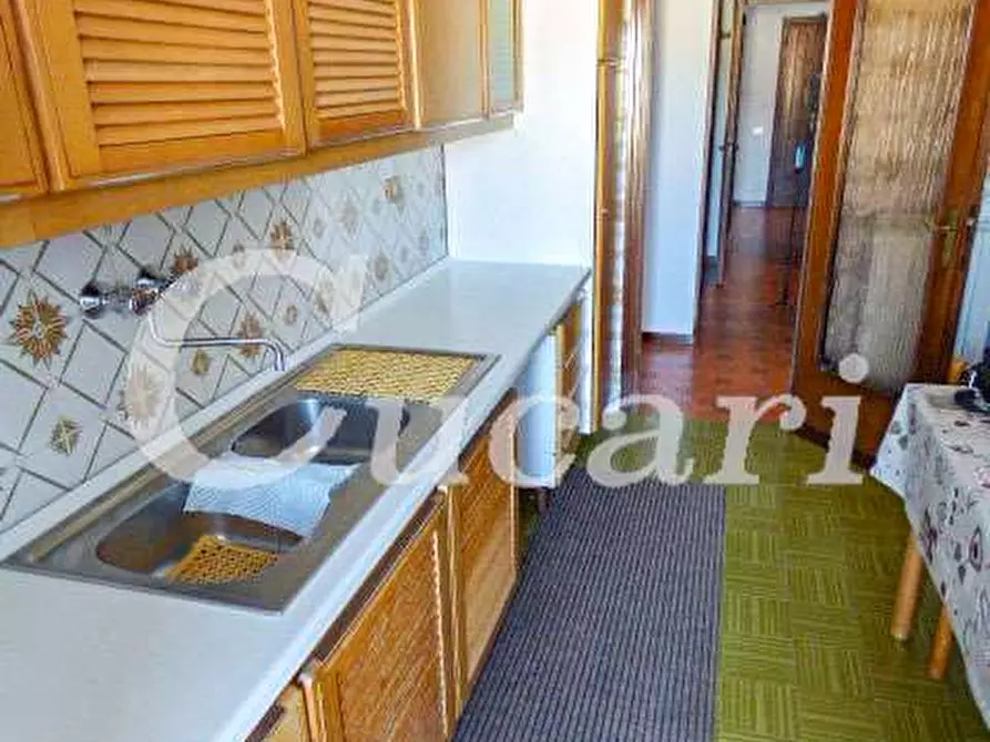 Immagine 46 di Trilocale in affitto  in via maffeo.pantaleoni a Frascati