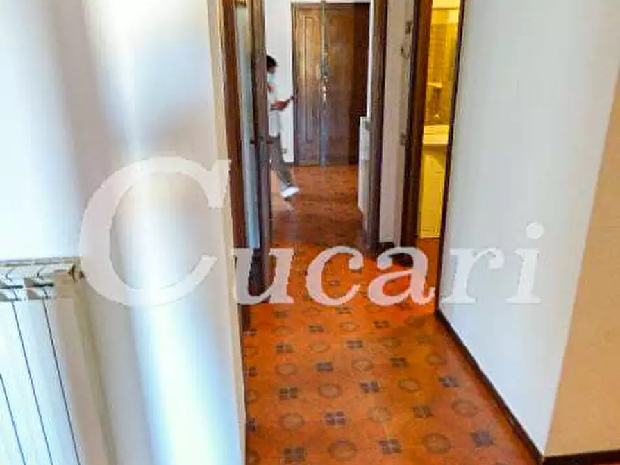 Immagine 47 di Trilocale in affitto  in via maffeo.pantaleoni a Frascati