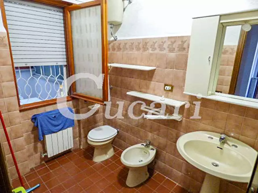 Immagine 48 di Trilocale in affitto  in via maffeo.pantaleoni a Frascati