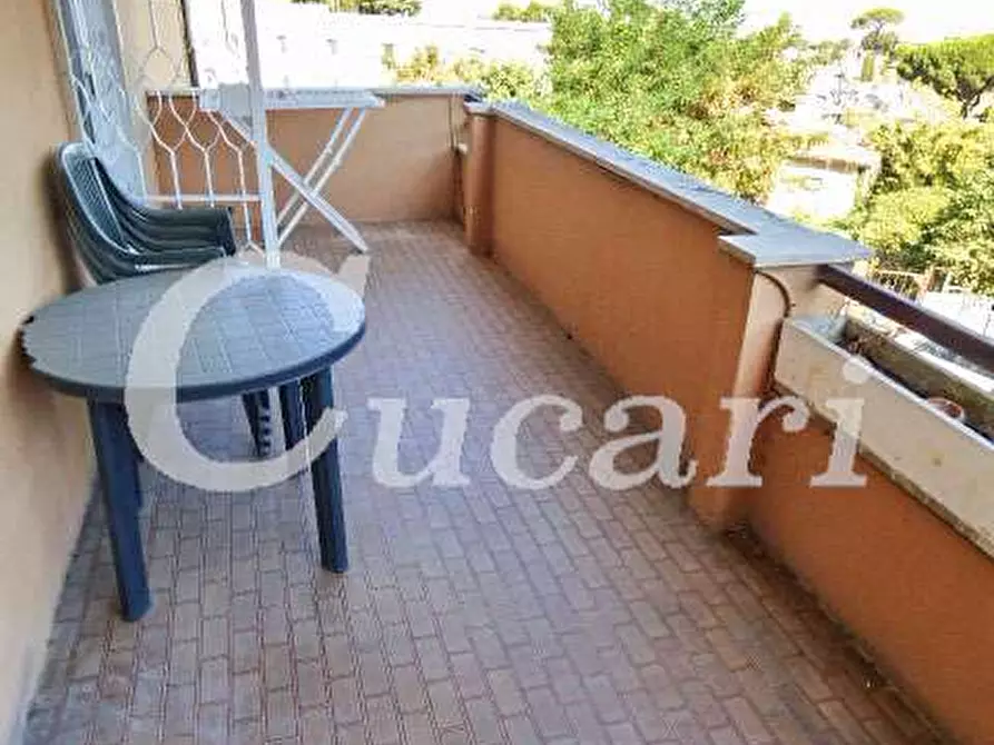 Immagine 50 di Trilocale in affitto  in via maffeo.pantaleoni a Frascati