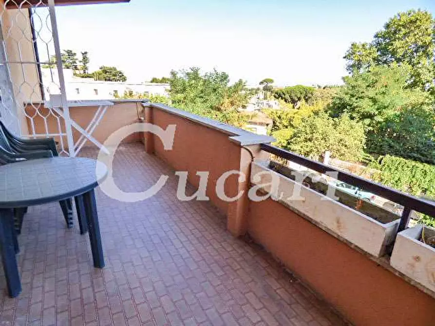 Immagine 51 di Trilocale in affitto  in via maffeo.pantaleoni a Frascati