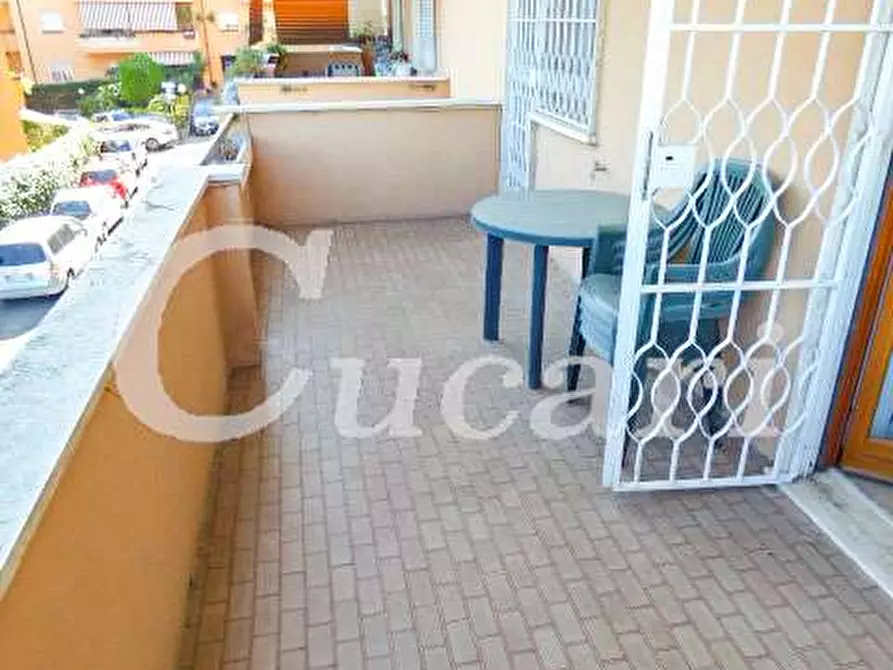 Immagine 52 di Trilocale in affitto  in via maffeo.pantaleoni a Frascati