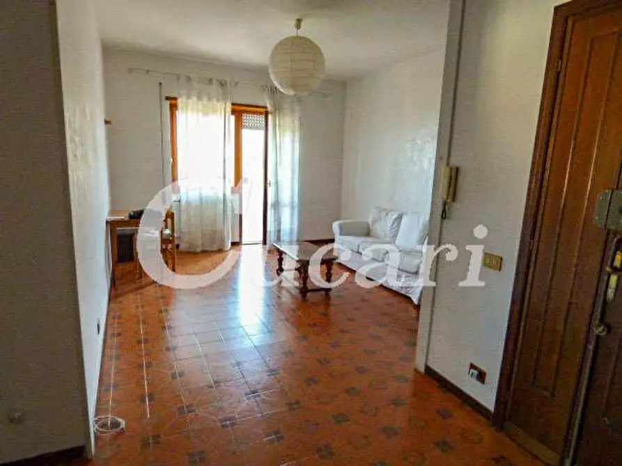 Immagine 53 di Trilocale in affitto  in via maffeo.pantaleoni a Frascati