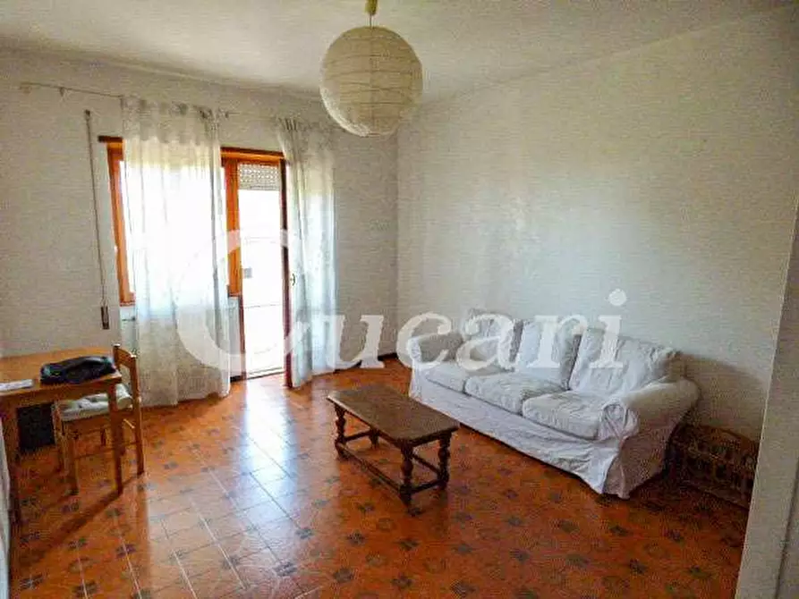 Immagine 54 di Trilocale in affitto  in via maffeo.pantaleoni a Frascati