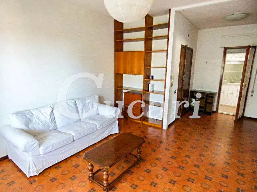 Immagine 55 di Trilocale in affitto  in via maffeo.pantaleoni a Frascati