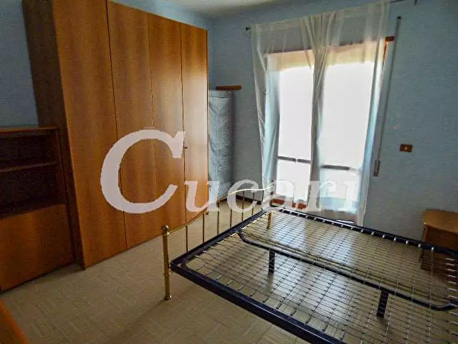 Immagine 59 di Trilocale in affitto  in via maffeo.pantaleoni a Frascati