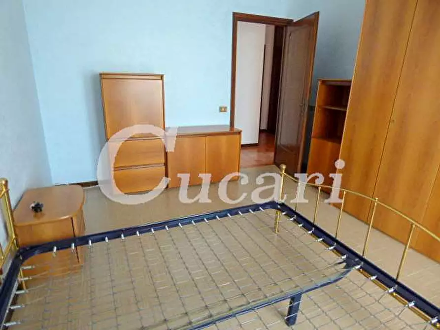 Immagine 61 di Trilocale in affitto  in via maffeo.pantaleoni a Frascati