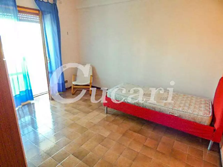 Immagine 62 di Trilocale in affitto  in via maffeo.pantaleoni a Frascati