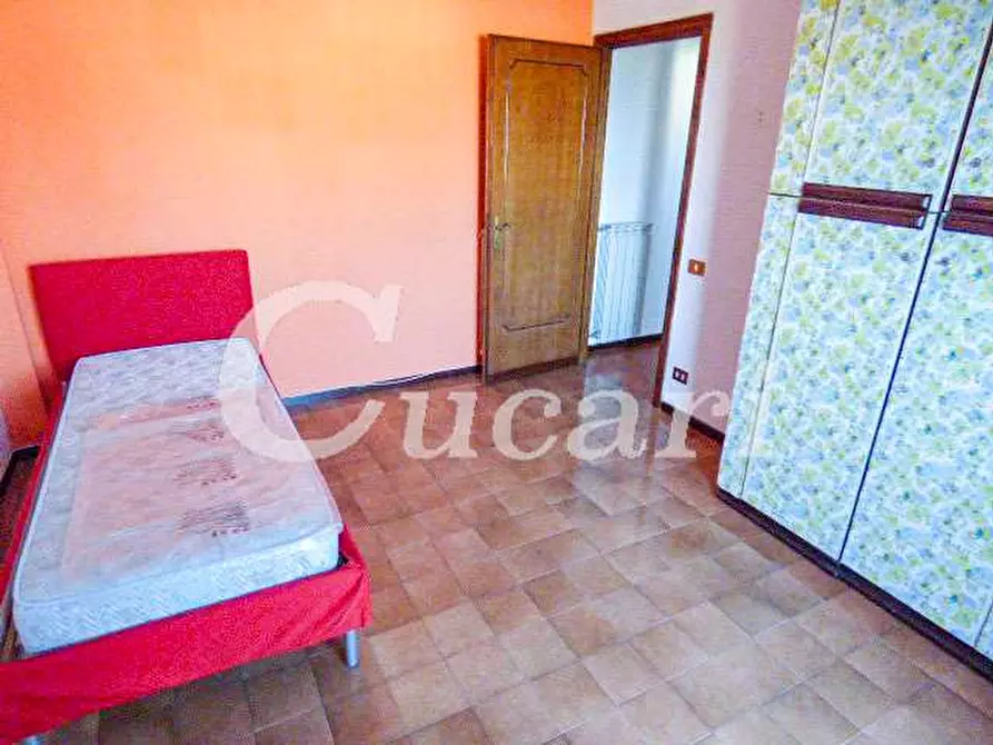 Immagine 63 di Trilocale in affitto  in via maffeo.pantaleoni a Frascati