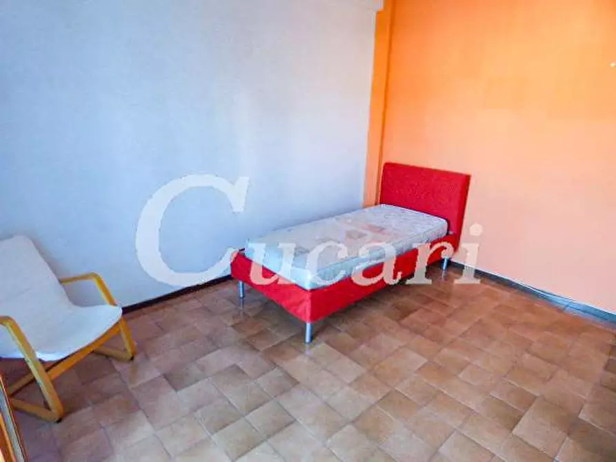 Immagine 64 di Trilocale in affitto  in via maffeo.pantaleoni a Frascati