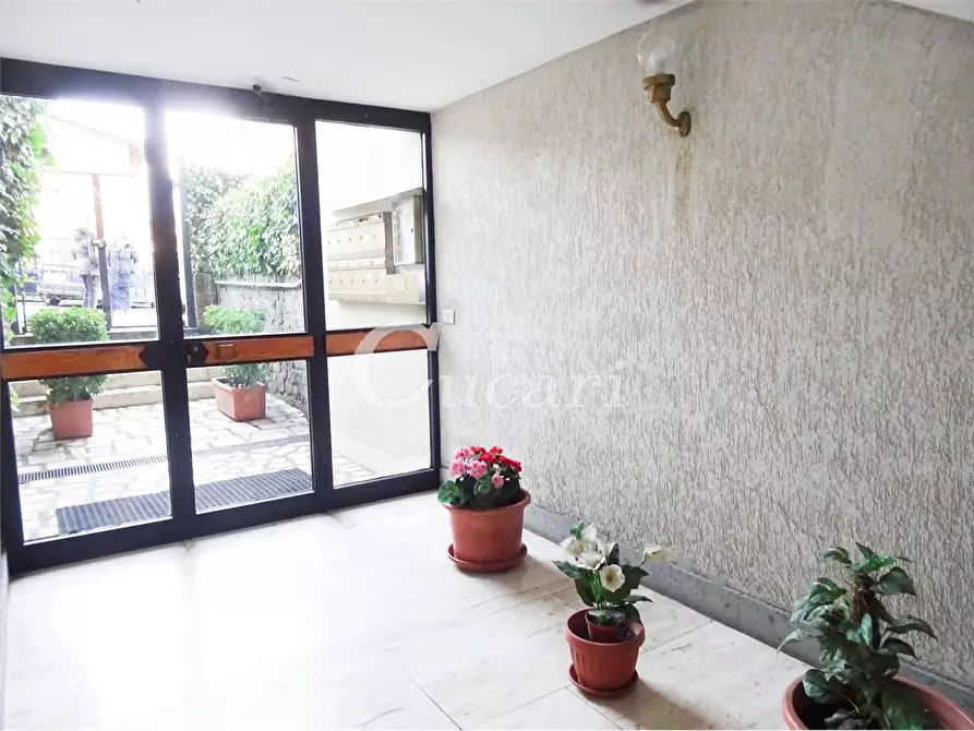 Immagine 26 di Monolocale in affitto  in via Don Annideo  a Grottaferrata