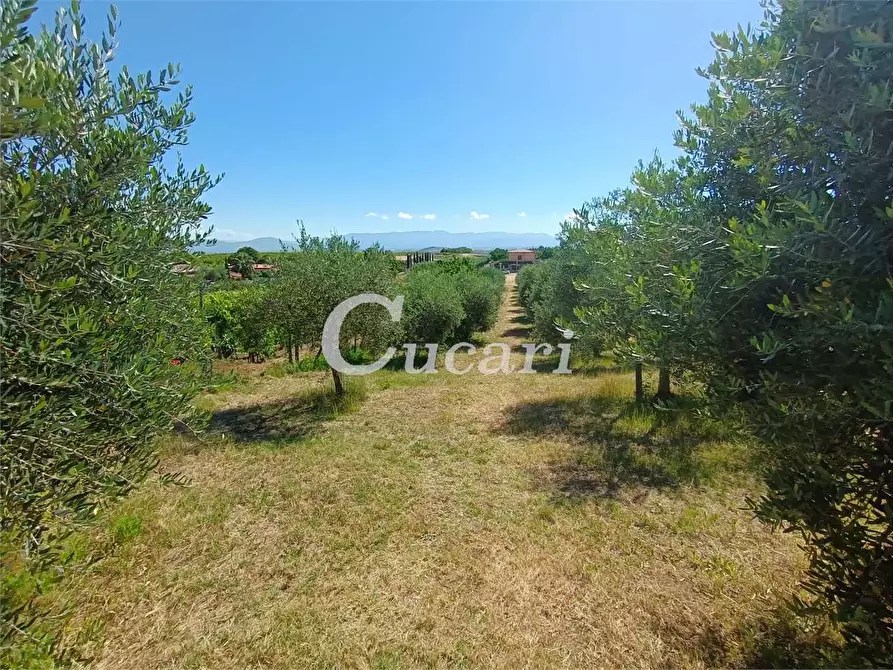 Immagine 1 di Terreno agricolo in vendita  in via fontana candida a Monte Porzio Catone