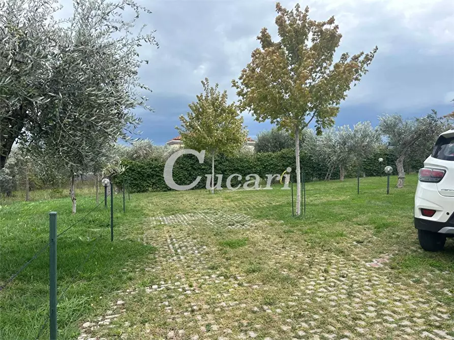 Immagine 17 di Bilocale in affitto  in via colle pizzuto a Frascati