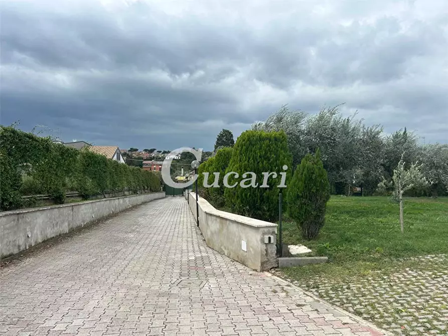 Immagine 18 di Bilocale in affitto  in via colle pizzuto a Frascati