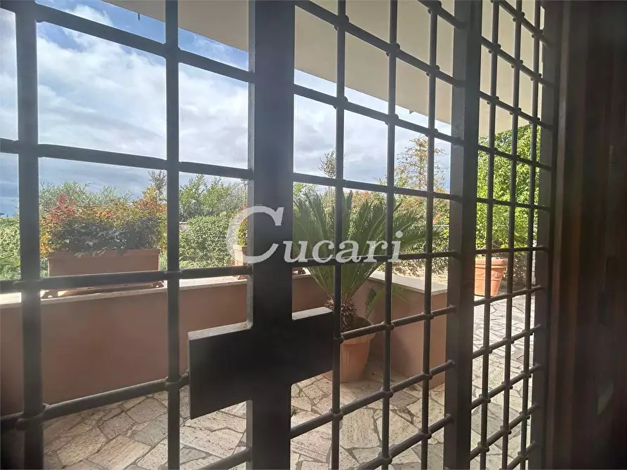 Immagine 27 di Bilocale in affitto  in via colle pizzuto a Frascati