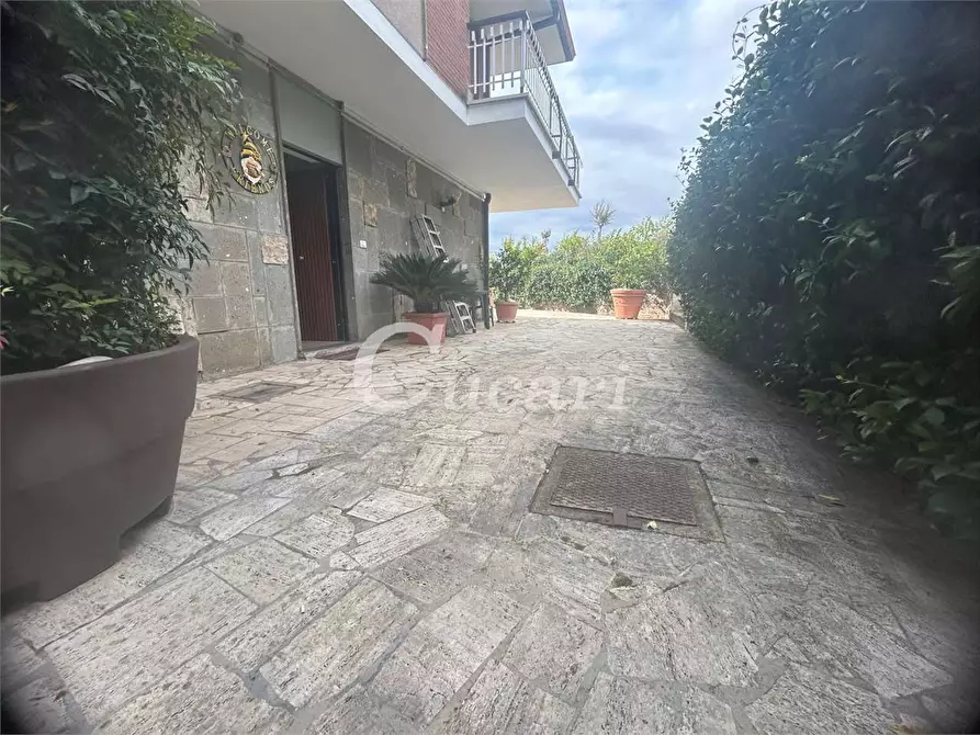 Immagine 33 di Bilocale in affitto  in via colle pizzuto a Frascati