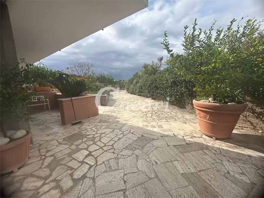 Immagine 34 di Bilocale in affitto  in via colle pizzuto a Frascati