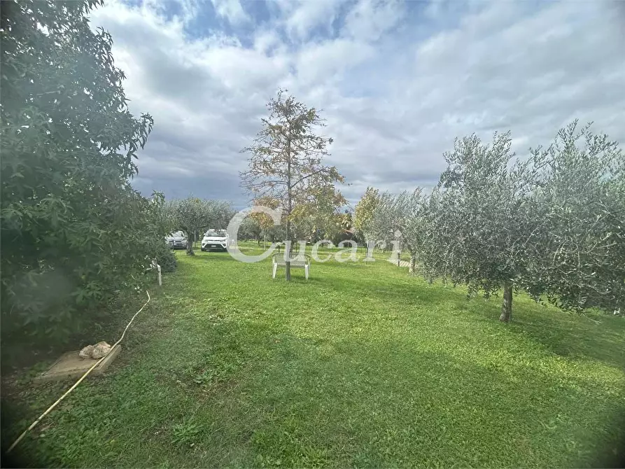 Immagine 35 di Bilocale in affitto  in via colle pizzuto a Frascati