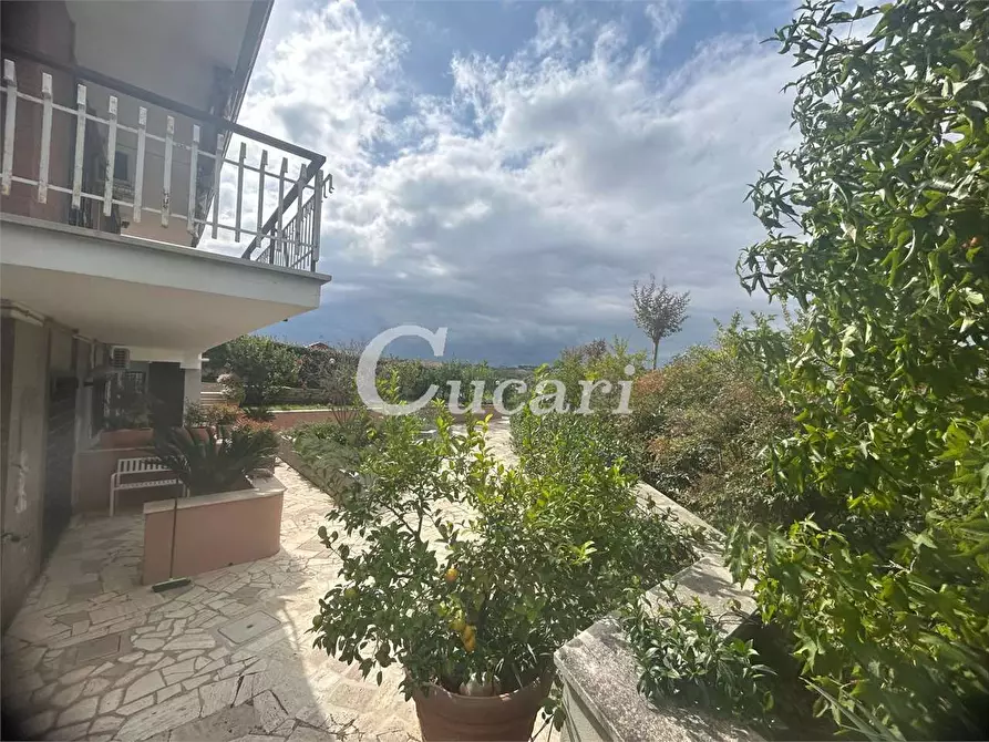 Immagine 36 di Bilocale in affitto  in via colle pizzuto a Frascati