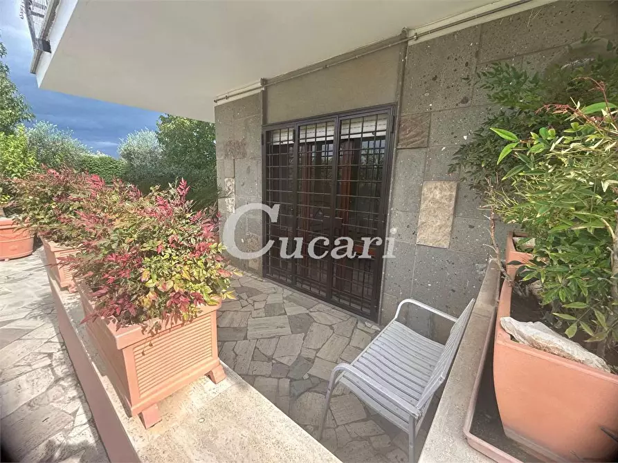 Immagine 38 di Bilocale in affitto  in via colle pizzuto a Frascati