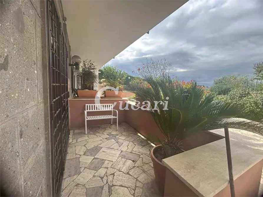 Immagine 16 di Bilocale in affitto  in via colle pizzuto a Frascati