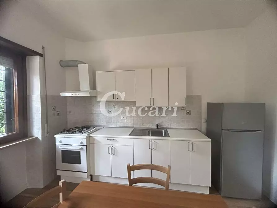 Immagine 6 di Bilocale in affitto  in via colle pizzuto a Frascati