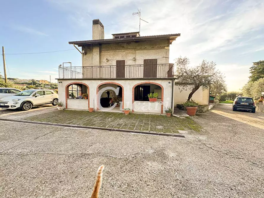 Immagine 19 di Bilocale in affitto  in via delle perazzeta a Frascati