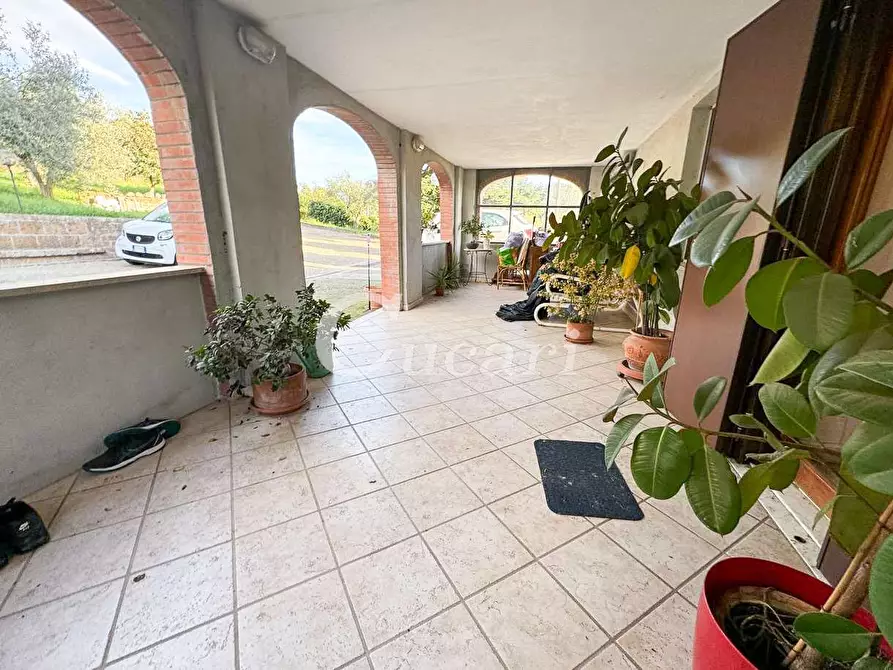 Immagine 36 di Bilocale in affitto  in via delle perazzeta a Frascati