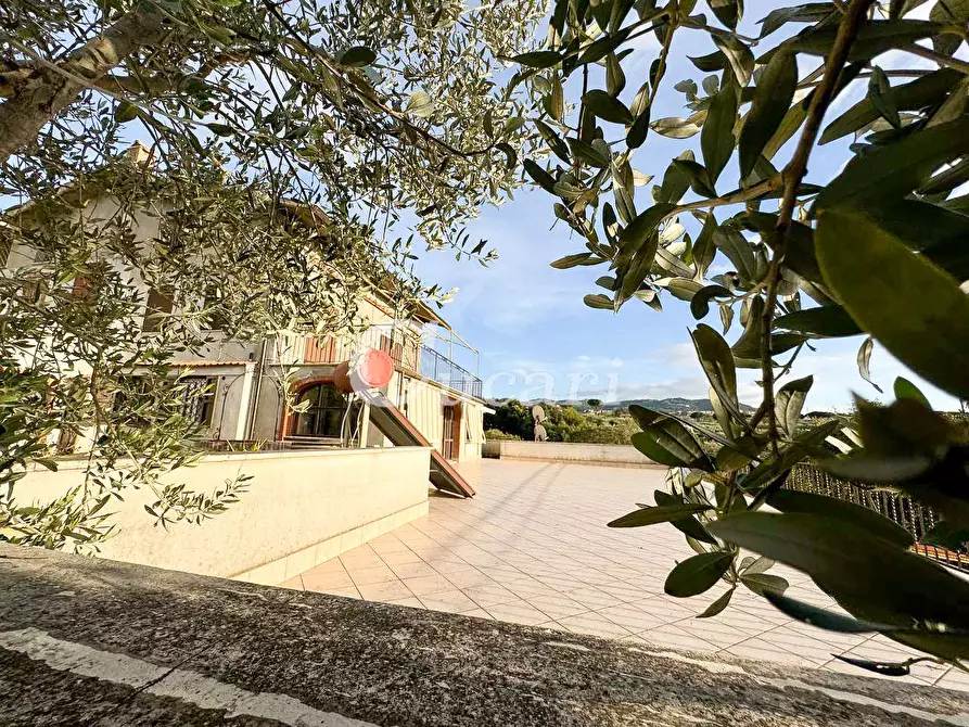 Immagine 37 di Bilocale in affitto  in via delle perazzeta a Frascati