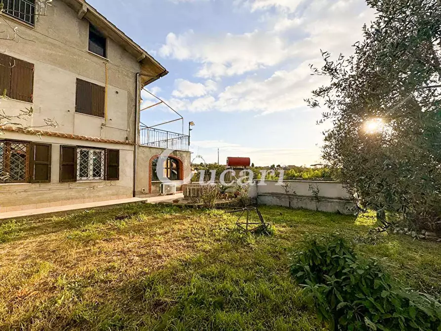 Immagine 40 di Bilocale in affitto  in via delle perazzeta a Frascati