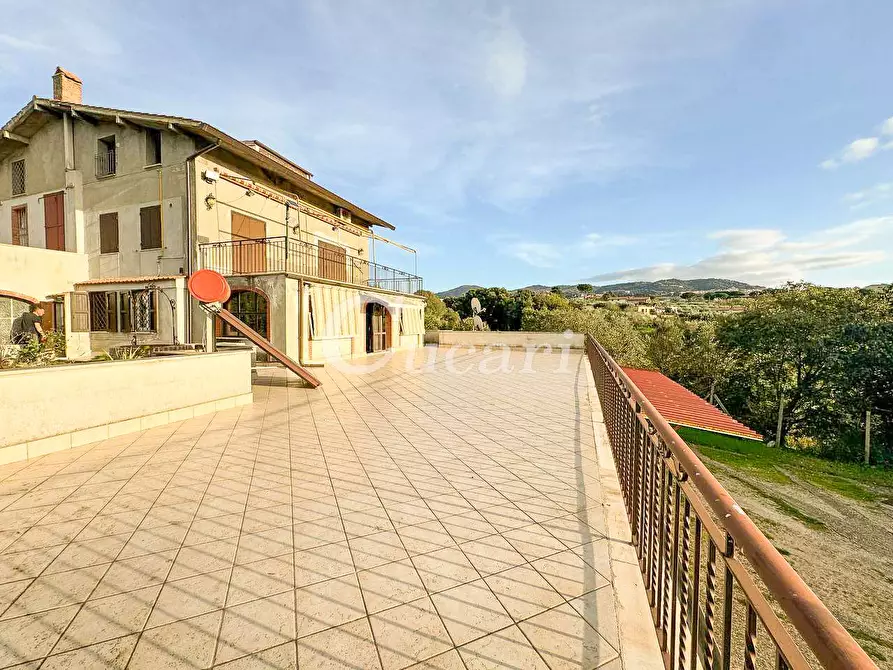 Immagine 42 di Bilocale in affitto  in via delle perazzeta a Frascati