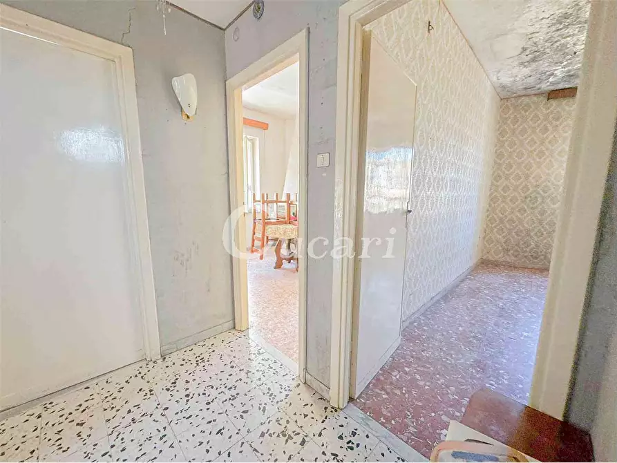 Immagine 38 di Quadrilocale in vendita  in via tuscolo a Montecompatri