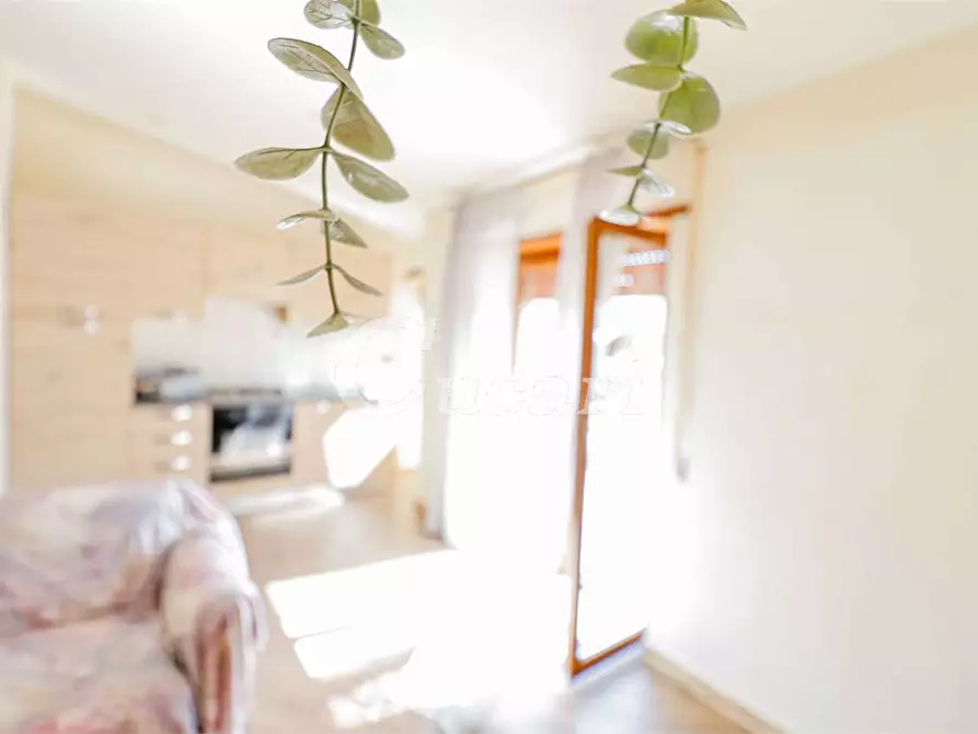 Immagine 43 di Trilocale in vendita  in via giuseppe verdi a Marino