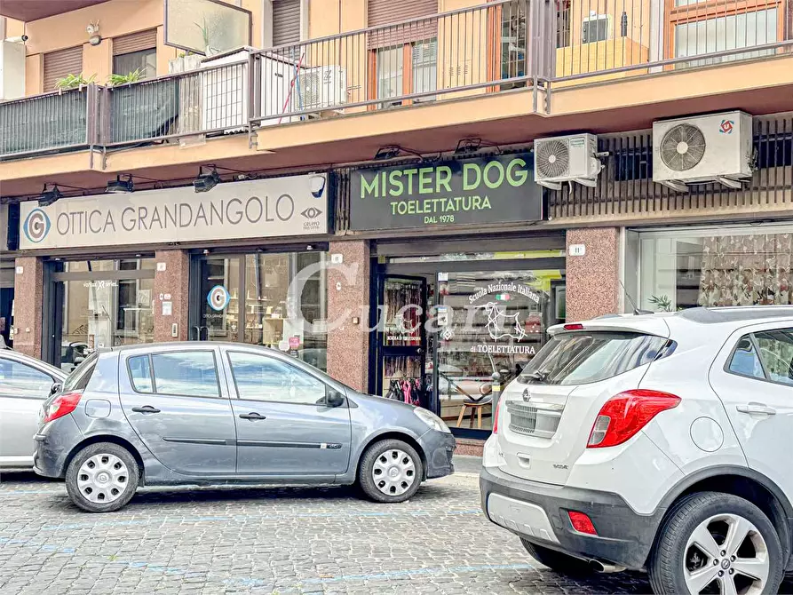 Immagine 10 di Negozio in affitto  a Frascati