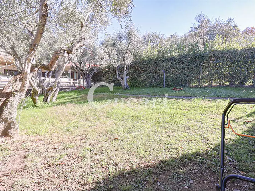 Immagine 36 di Trilocale in vendita  in via di salè a Frascati