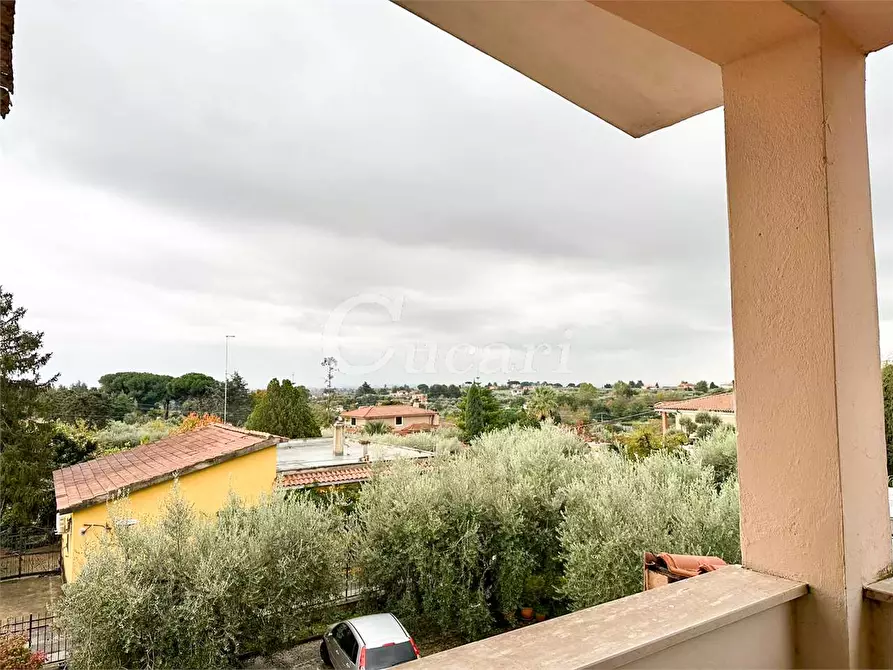 Immagine 8 di Appartamento in affitto  in via appia sud  a Velletri