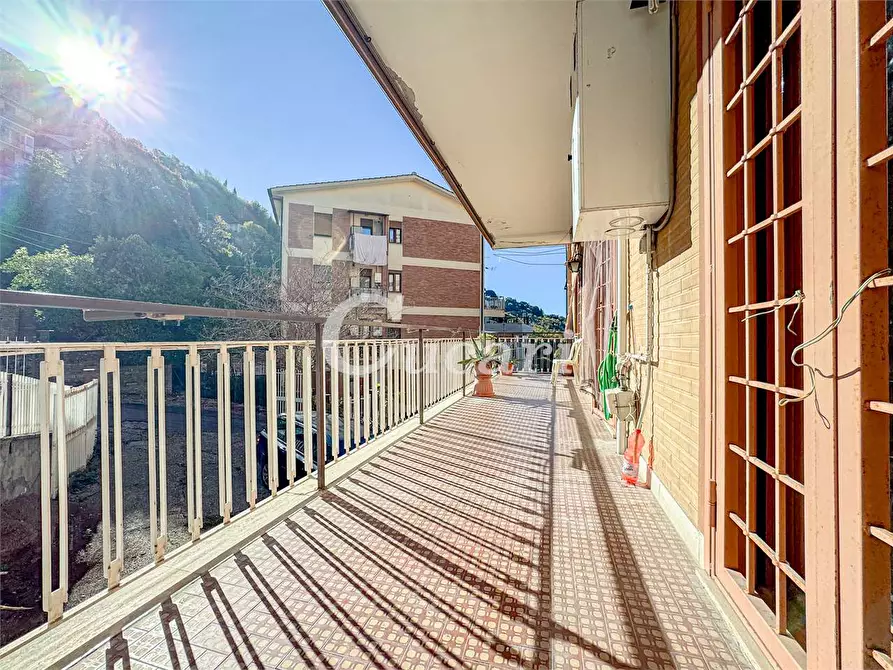 Immagine 33 di Quadrilocale in vendita  in via san carlo borromeo a Rocca Di Papa