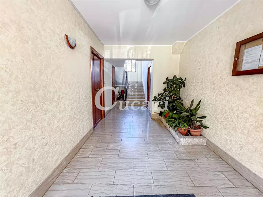 Immagine 40 di Quadrilocale in vendita  in via san carlo borromeo a Rocca Di Papa