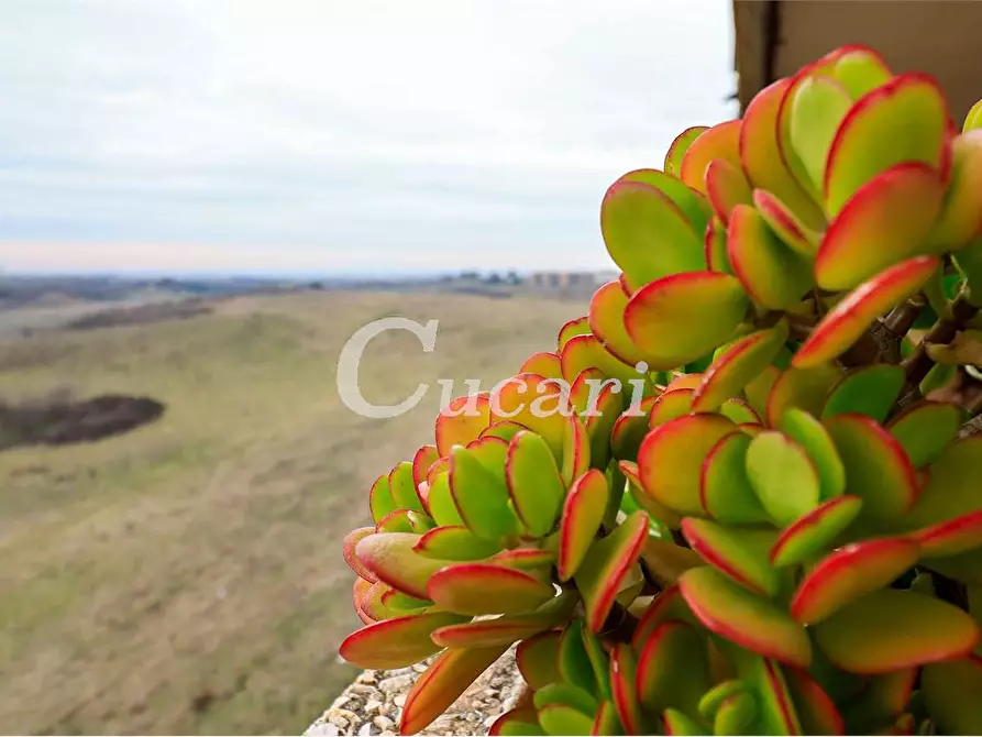 Immagine 39 di Trilocale in vendita  in via carlo bernardo mosca 57 a Roma