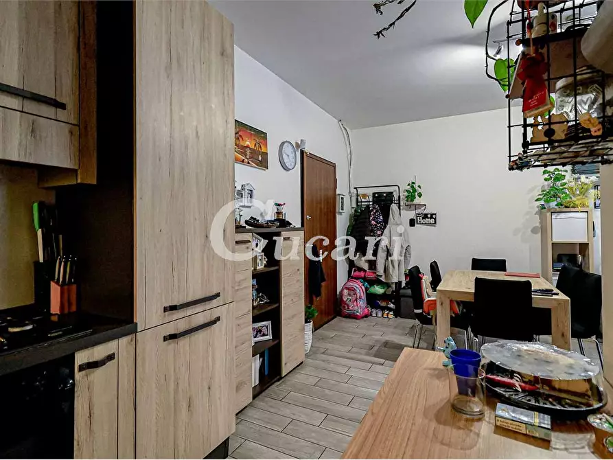 Immagine 23 di Bilocale in vendita  in via xxv luglio a Grottaferrata